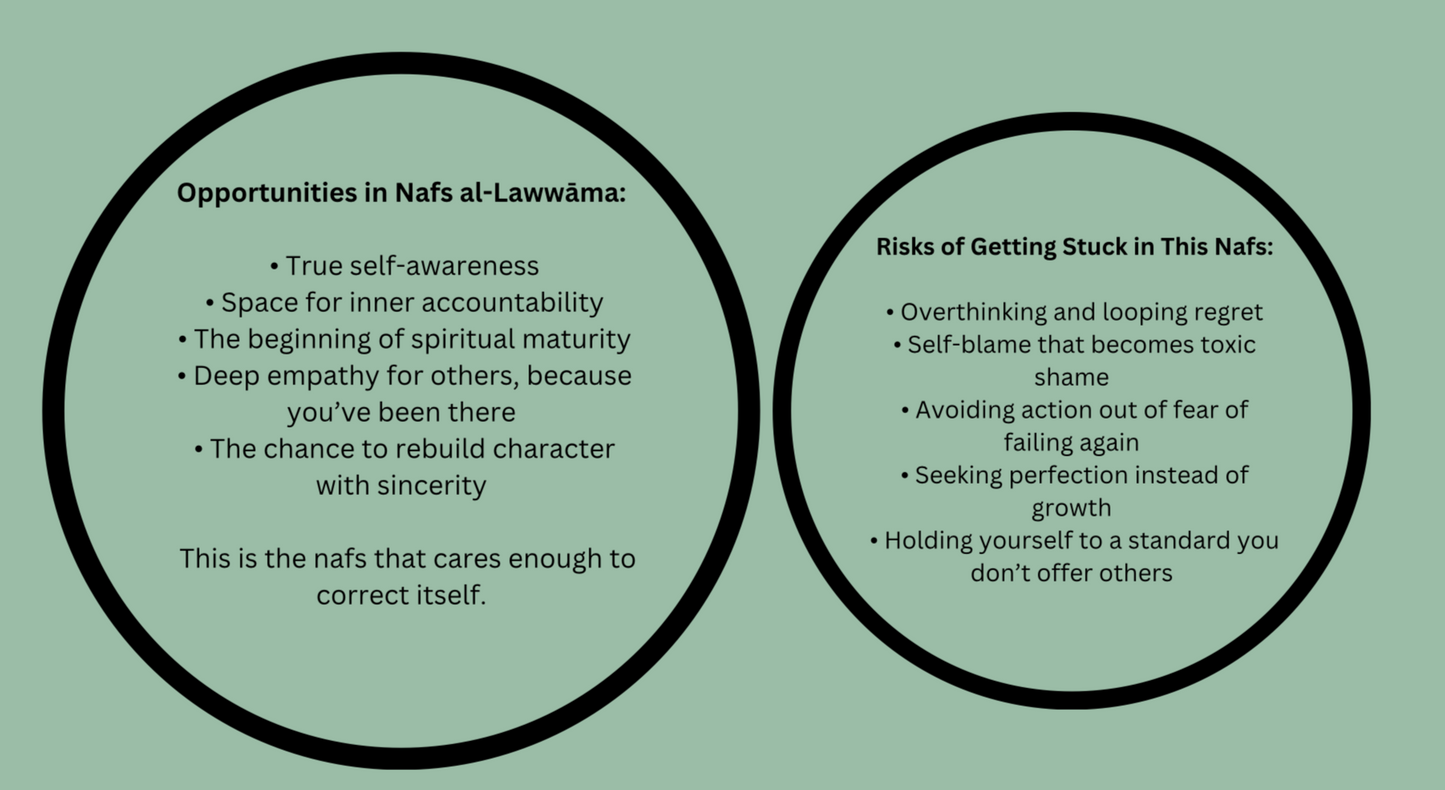 E-Guide : Soulwork - Understanding the Nafs